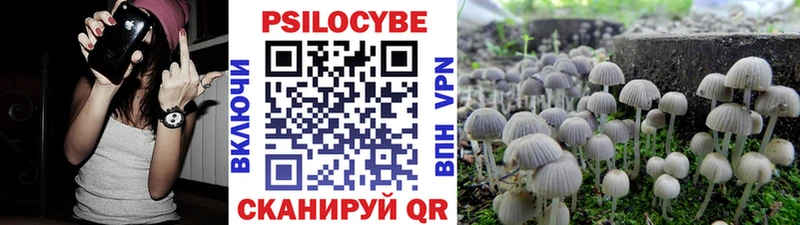 Галлюциногенные грибы MAGIC MUSHROOMS Санкт-Петербург