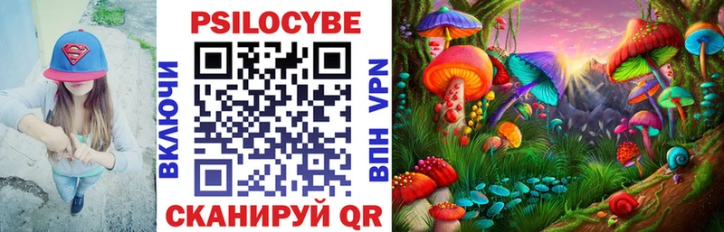 Галлюциногенные грибы Psilocybine cubensis  мега как зайти  Санкт-Петербург  где продают наркотики 